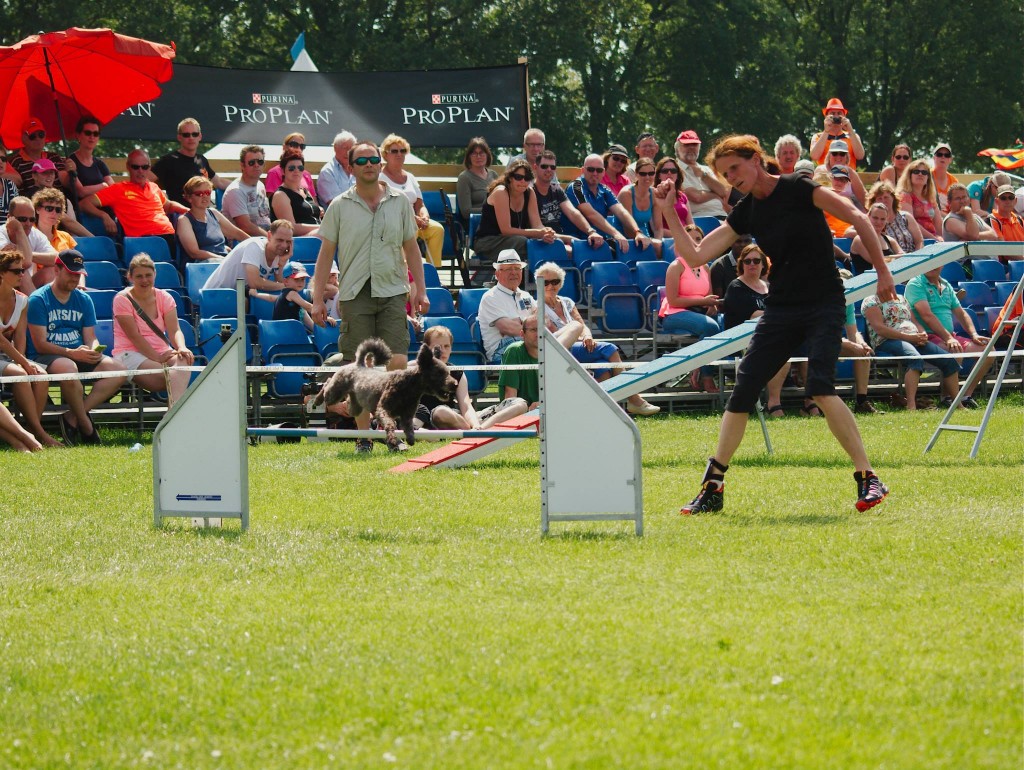 Marjan en Hokey in aktie